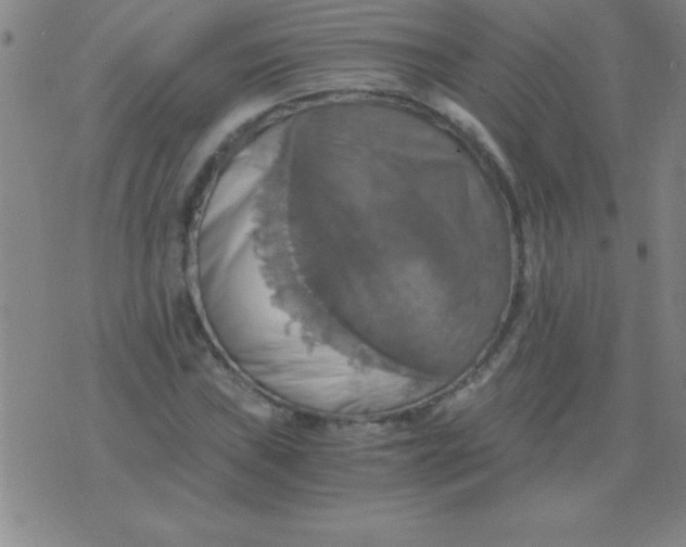 X0000075811019200610061726