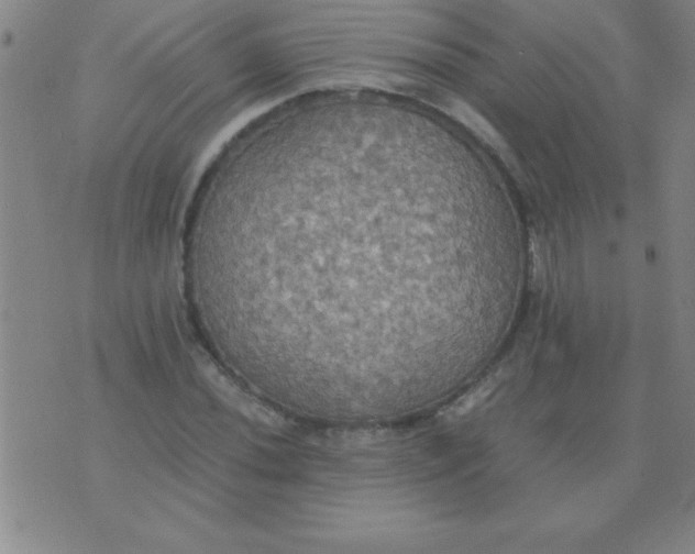 X0000075811020200610061726