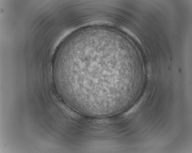 X0000075811021200610061726