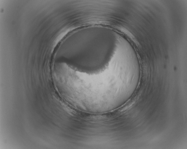 X0000075811023200610061726