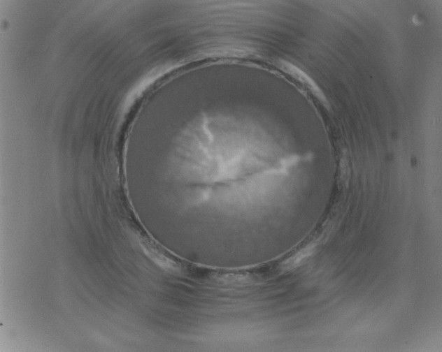 X0000075811027200610061726