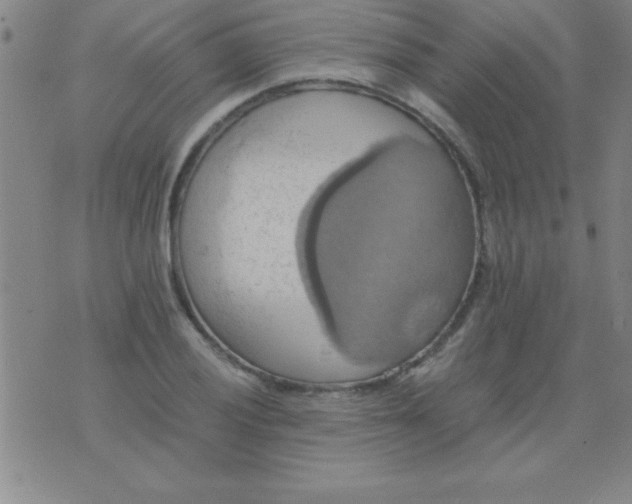 X0000075811028200610061726