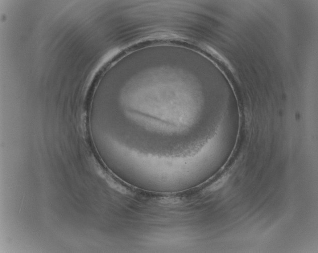 X0000075811029200610061726