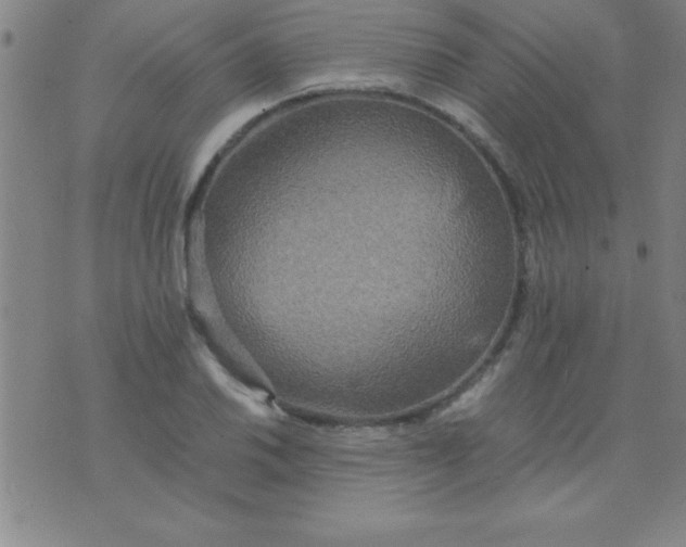 X0000075811030200610061726