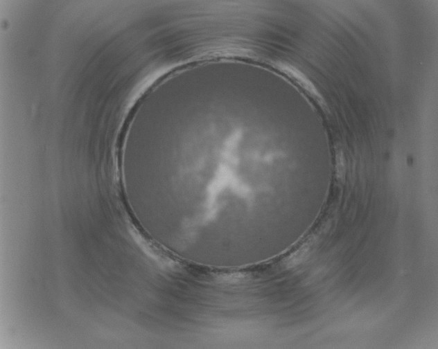 X0000075811031200610061726