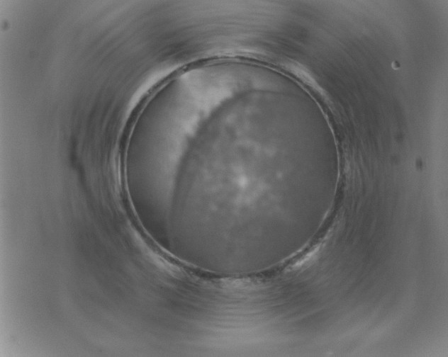 X0000075811032200610061726