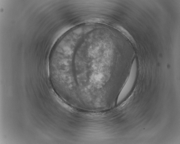 X0000075811036200610061726