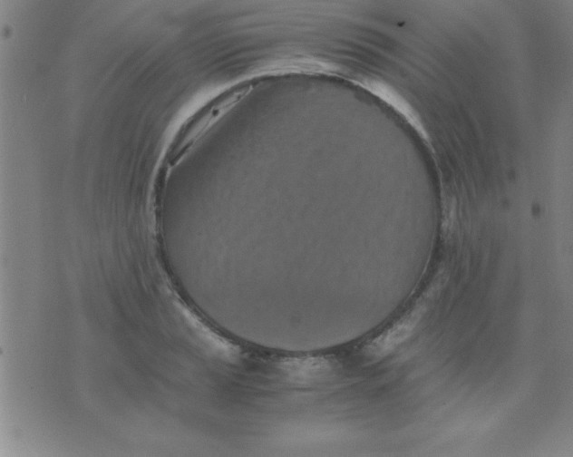 X0000075811037200610061726