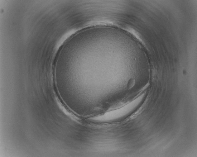 X0000075811038200610061727