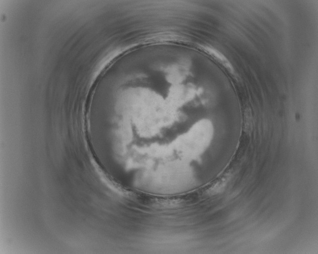 X0000075811039200610061727