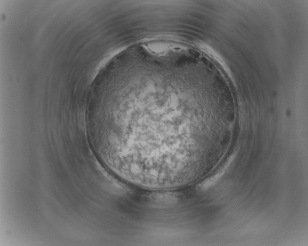 X0000075811041200610061727