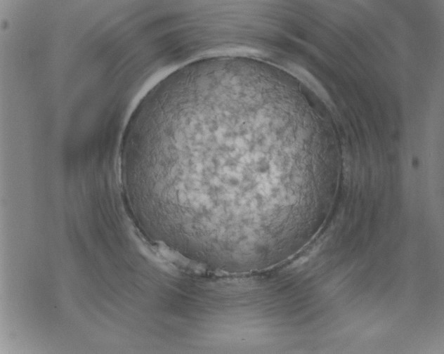 X0000075811044200610061727