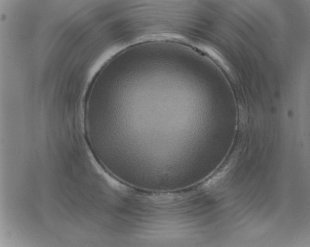 X0000075811046200610061727