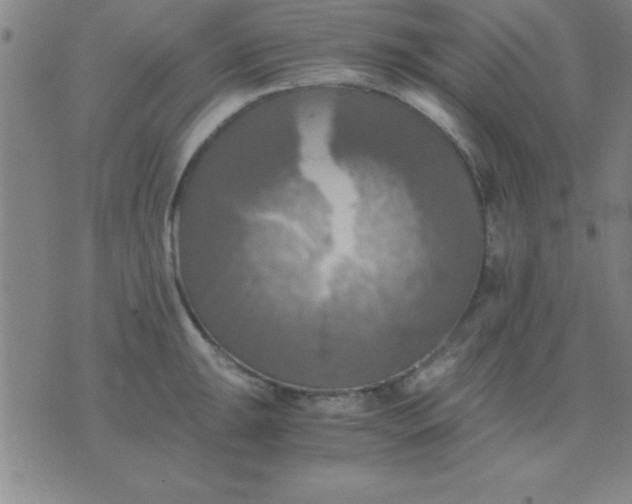 X0000075811047200610061727