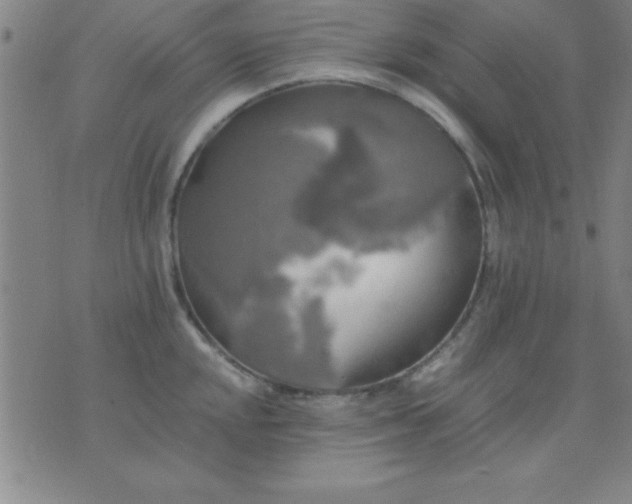 X0000075811048200610061727