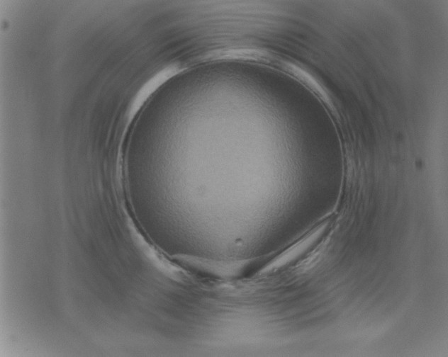 X0000075811050200610061727