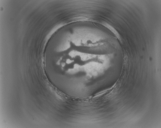 X0000075811051200610061727