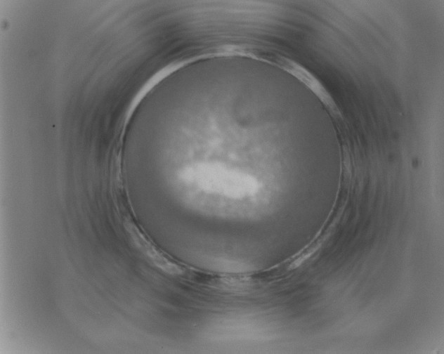 X0000075811052200610061727