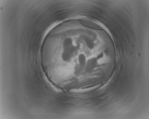 X0000075811053200610061727