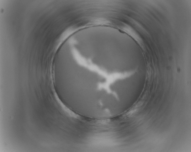 X0000075811055200610061727