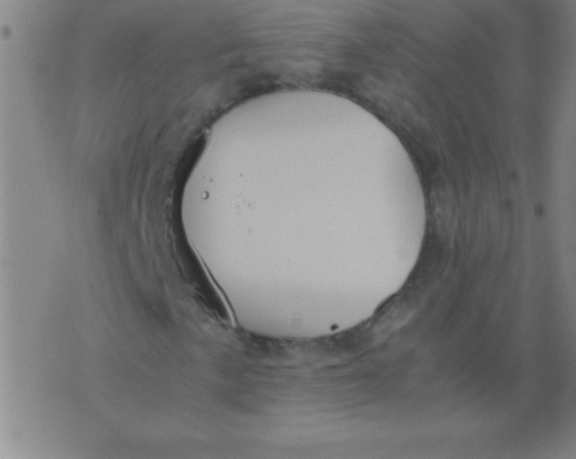 X0000075811057200610061726