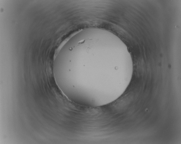 X0000075811058200610061726