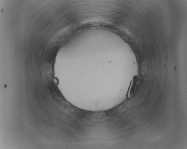 X0000075811062200610061726