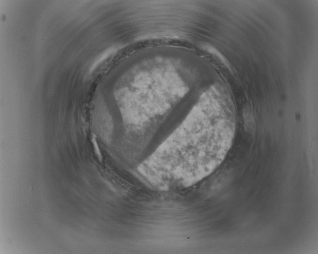 X0000075811064200610061726