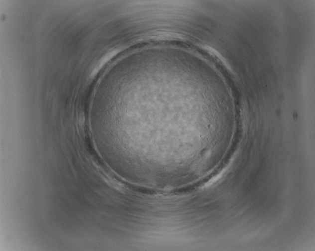 X0000075811065200610061726