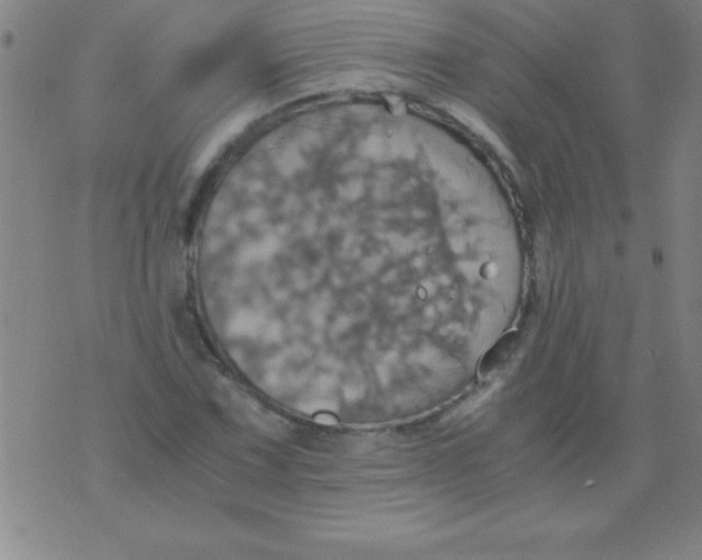 X0000075811067200610061726