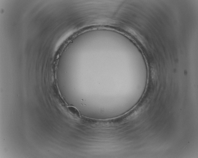 X0000075811069200610061726