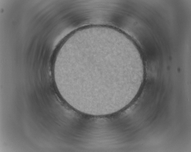 X0000075811070200610061726