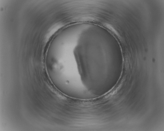 X0000075811071200610061726