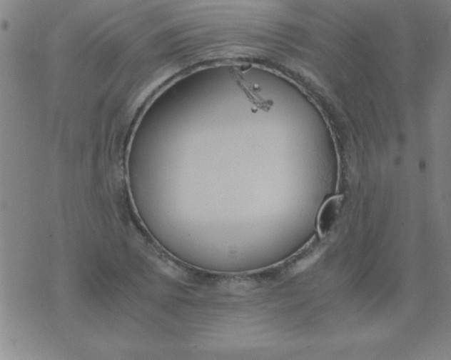 X0000075811073200610061726