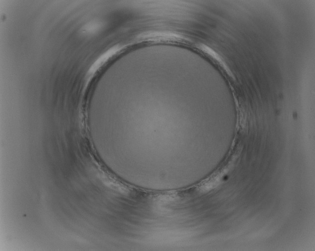 X0000075811074200610061726