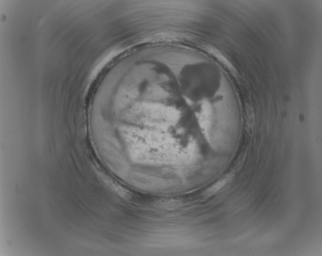 X0000075811075200610061726