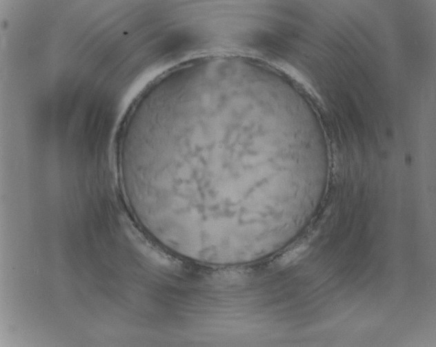 X0000075811078200610061726