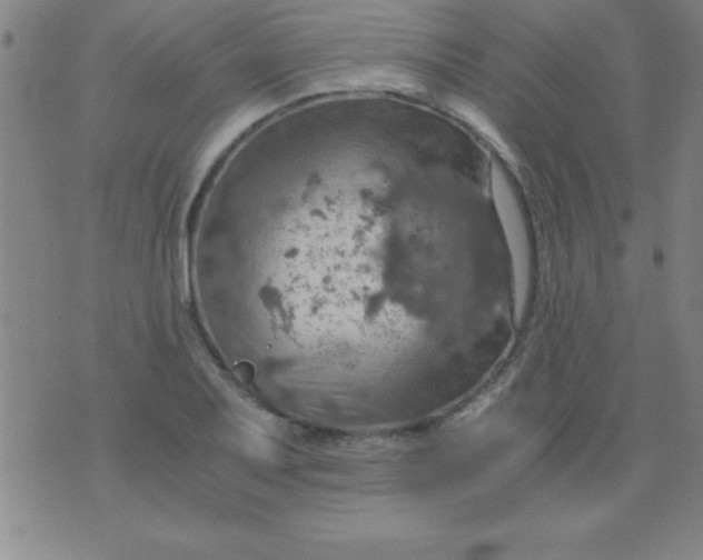 X0000075811079200610061726