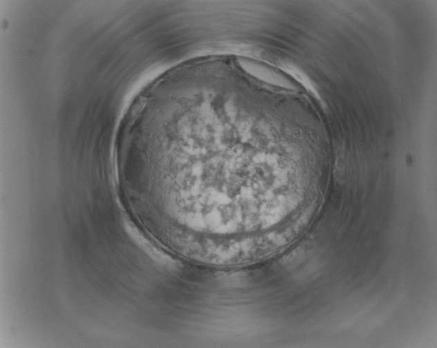 X0000075811080200610061726