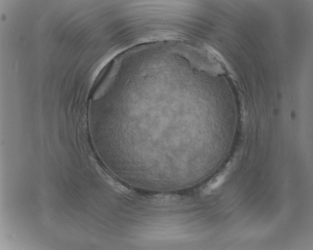 X0000075811081200610061726