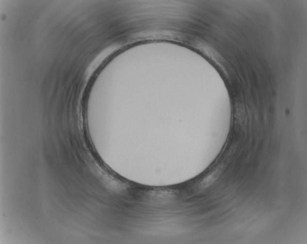 X0000075811082200610061726