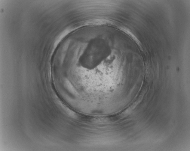 X0000075811083200610061726