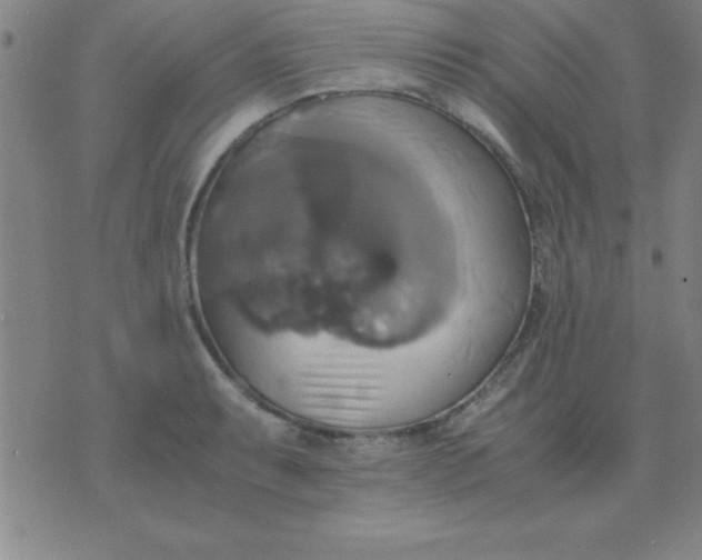 X0000075811087200610061726