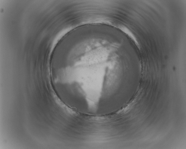 X0000075811088200610061726