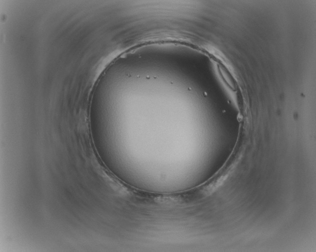 X0000075811089200610061726