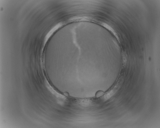 X0000075811090200610061725