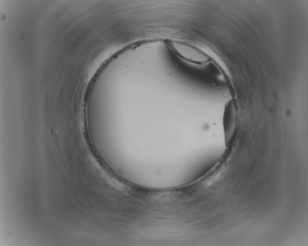 X0000075811093200610061725