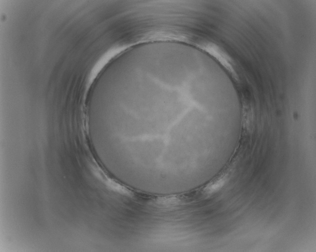 X0000075811094200610061725