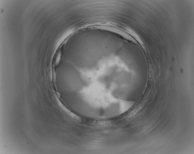 X0000075811095200610061725