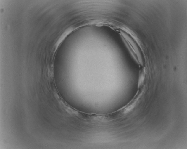 X0000075811097200610061725